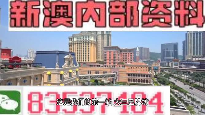 2024新澳门资料大全123期-精选解释解析落实